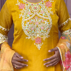 Organza straight kurta set with embriodery