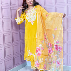 Organza straight kurta set with embriodery