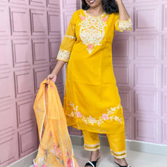 Organza straight kurta set with embriodery