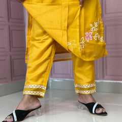 Organza straight kurta set with embriodery