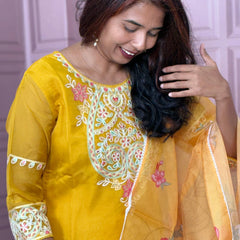 Organza straight kurta set with embriodery