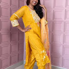 Organza straight kurta set with embriodery