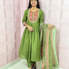 Green  Pure mul chanderi Anarkali with embroidery work